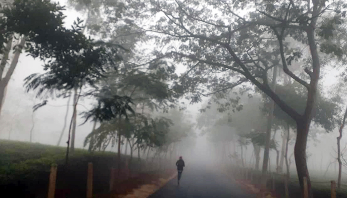 সারাদিন সূর্যের দেখা মেলেনি মৌলভীবাজারে, শীতে কাবু মানুষ