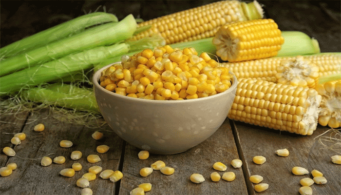 ভুট্টার যত গুণ ভুট্টার যত গুণ