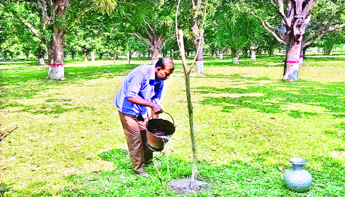 মুক্তিযুদ্ধের ইতিহাস রক্ষার এক যোদ্ধা মুক্তিযুদ্ধের ইতিহাস রক্ষার এক যোদ্ধা