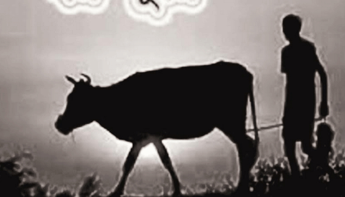 কৃষকের গরু চুরির ঘটনায় বাবা-ছেলে কারাগারে