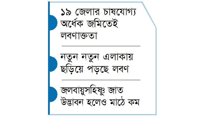 লবণ গ্রাস করছে কৃষকের স্বপ্ন