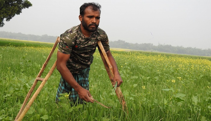 শূন্য থেকে ছয় একর জমির মালিক প্রতিবন্ধী আক্কাস