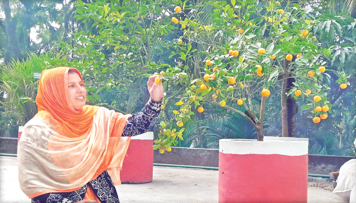 সবুজে সেজেছে স্কুল