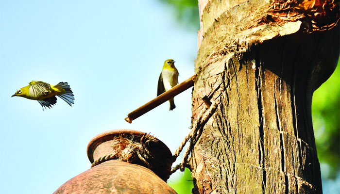 অবস্থাদৃষ্টে, ইন দ্য হিন্ডসাইট... পরিস্থিতি পর্যালোচনা প্রায়শই বুদ্ধিভ্রষ্টতার দলিল