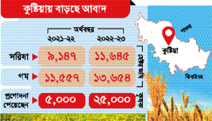 আশা জাগাচ্ছে সরিষা ও গম