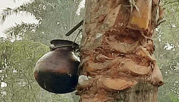 রাজশাহীতে নিপাহ ভাইরাসে নারীর মৃত্যু