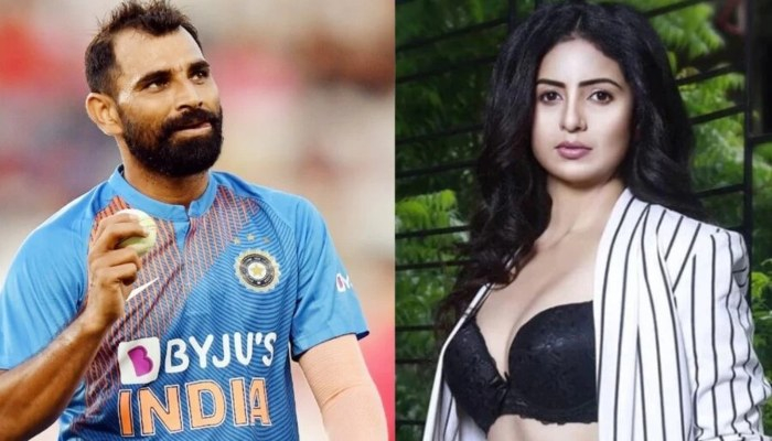 আদালতে স্ত্রীর কাছে হেরে দল থেকেই বাদ শামি