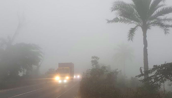শীত থাকতে পারে জানুয়ারি জুড়ে, হতে পারে বৃষ্টি