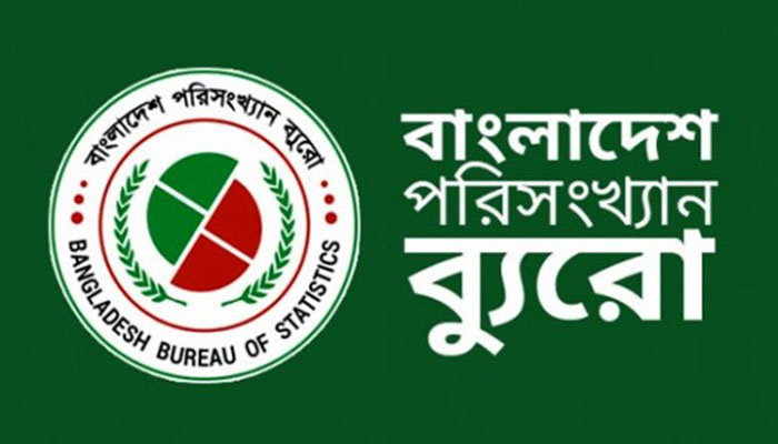 দেশে মাথাপিছু আয় কমল