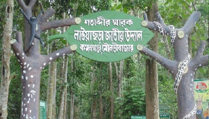 শুকিয়ে ছড়া-খাল, খাবার পানি মিলছে না বন্যপ্রাণীর