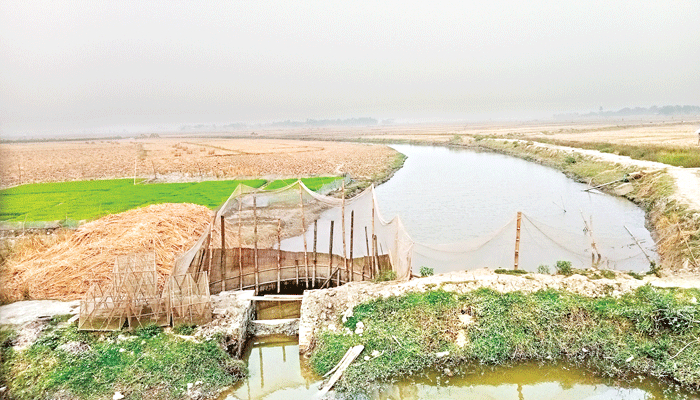 খালে নোনাপানি, চাষির ক্ষতি