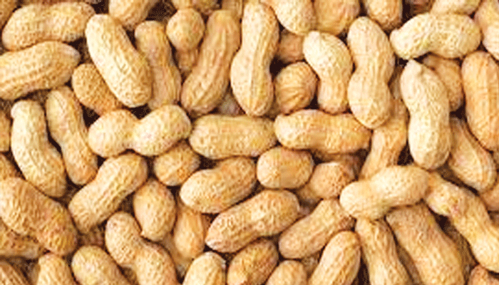 স্বাস্থ্য সুরক্ষায় বাদাম