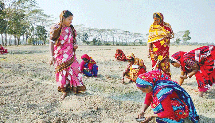 কৃষিতে জৈব পদ্ধতি