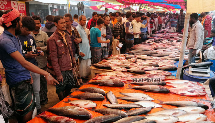 পাতে পড়ে না মাছও