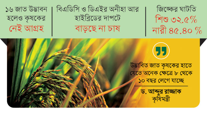 জিঙ্ক ধান মাঠে নেই আছে গবেষণায়