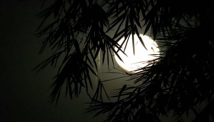 শুভ মাঘী পূর্ণিমা আজ