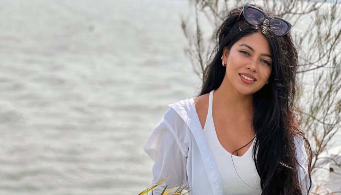 'বিয়ন্সে, টেইলর সুইফট, ম্যাডোনা ও অ্যাডেলেদের দেখার সৌভাগ্য হয়েছে'