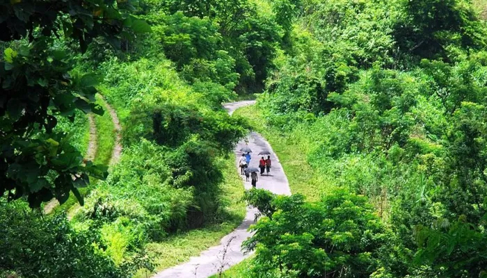 বান্দরবানে দুই মিনি ট্রাক খাদে পড়ে নিহত ৬ বান্দরবানে দুই মিনি ট্রাক খাদে পড়ে নিহত ৬