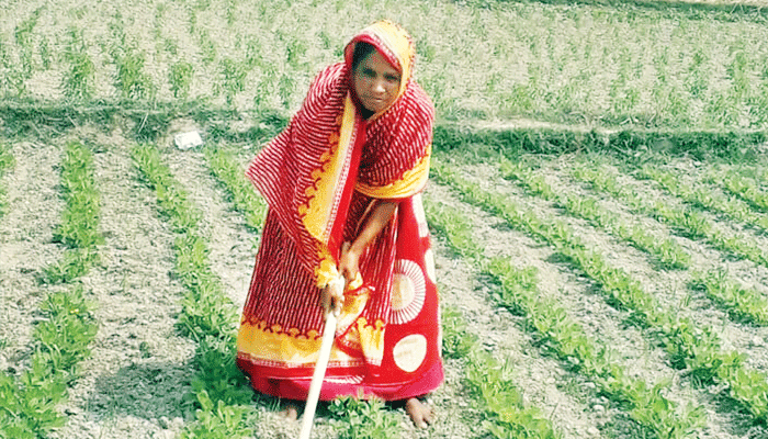 কৃষক থেকে উদ্যোক্তা