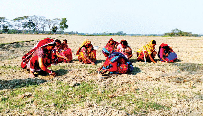 সবজি চাষে স্বাবলম্বী  ১০ নারী কৃষক