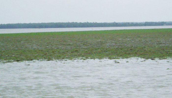 পানি মেপে মেপে চলে লঞ্চ