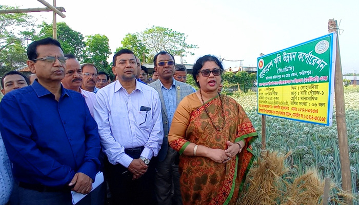 ‘ফরিদপুরের পেঁয়াজের বীজ এখন একটি ব্রান্ড’