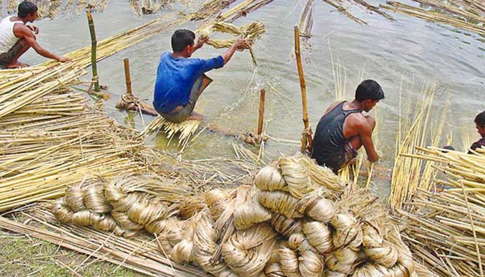 রপ্তানি বাড়াতে পাটপণ্যের মান উন্নয়ন দরকার