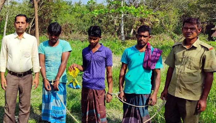 সুন্দরবনে বিষ দিয়ে মাছ শিকার, গ্রেপ্তার ৩
