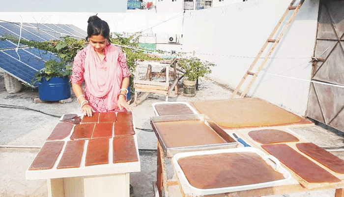 আচার দিয়ে মন জয় আচার দিয়ে মন জয়