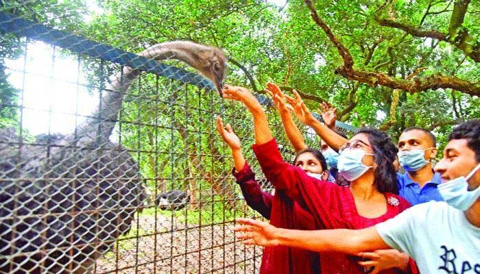 চিড়িয়াখানায় প্রাণী উত্ত্যক্ত করলে গুনতে হবে জরিমানা চিড়িয়াখানায় প্রাণী উত্ত্যক্ত করলে গুনতে হবে জরিমানা