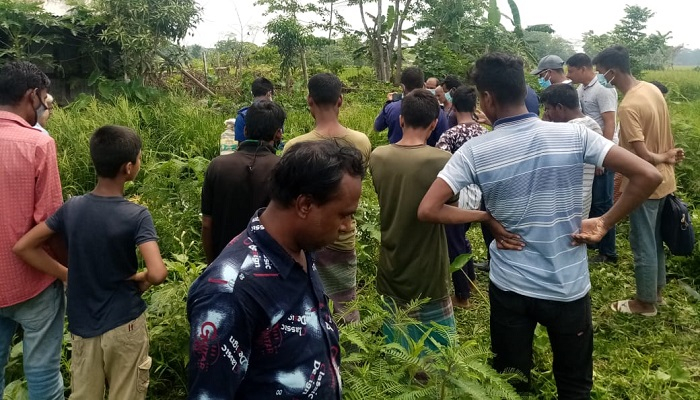 ধানক্ষেতে পড়ে থাকা লাশের সন্ধান দিল মাছি