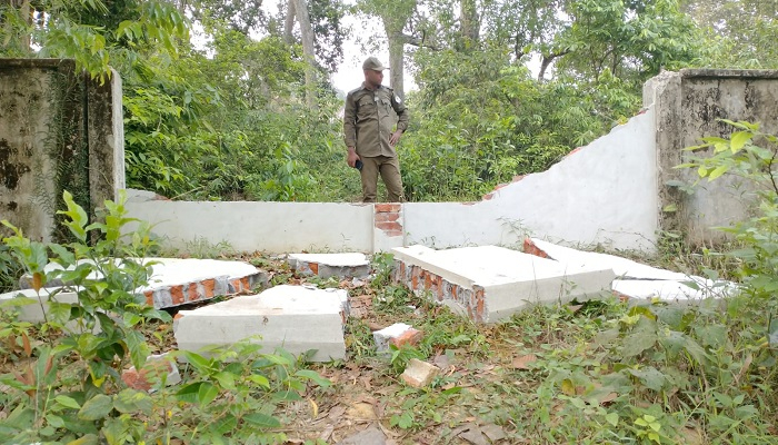 ডুলাহাজারা সাফারি পার্কের সীমানা প্রাচীর ভেঙে বন্য হাতির তাণ্ডব