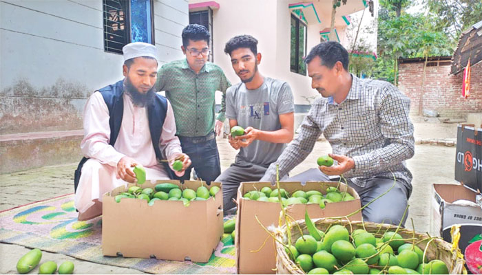স্বপ্ন দেখাচ্ছে পাহাড়ি কাঁচা আম
