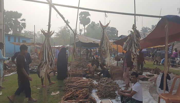 একদিনের মেলায় অর্ধকোটি টাকার শুঁটকি বিক্রি
