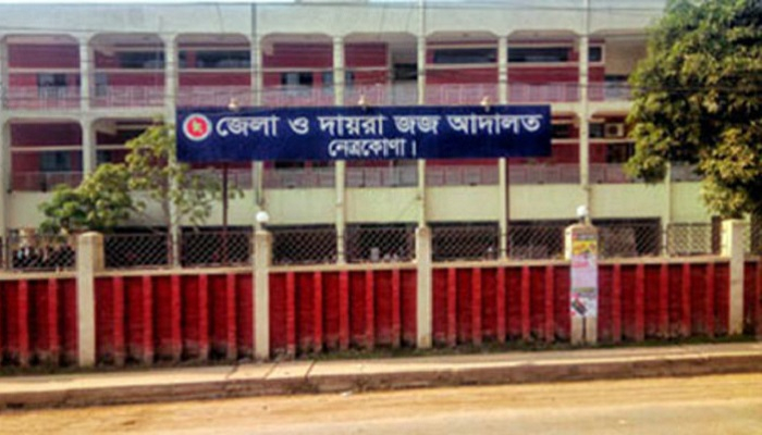 নাশকতা মামলায় বিএনপির ১৩ নেতাকর্মীর জামিন