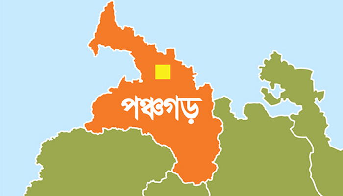 দুই ছেলের ঝগড়া থামাতে গিয়ে মায়ের মৃত্যু