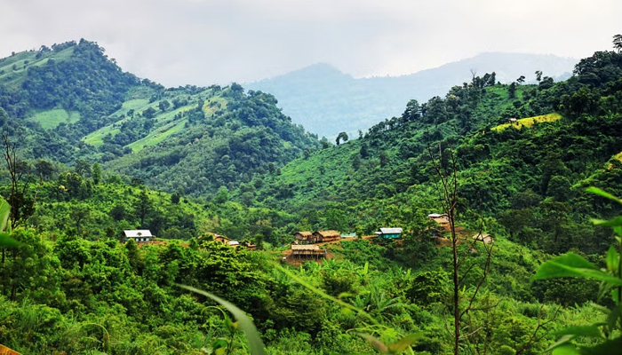 বান্দরবানের মুয়ালপি পাড়ায় গোলাগুলি
