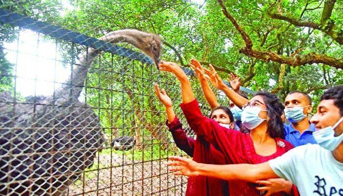 চিড়িয়াখানায় প্রাণী উত্ত্যক্ত করলে গুনতে হবে জরিমানা