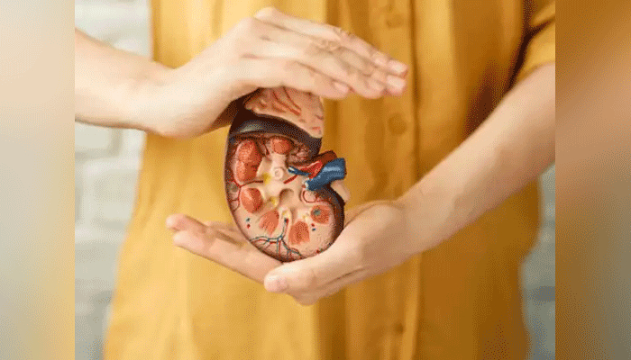 নারীর কিডনি রোগের ঝুঁকি বেশি যেসব কারণে