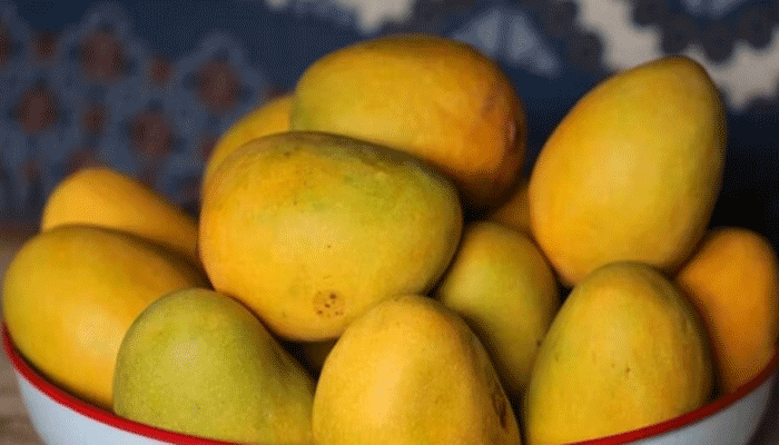 ইউরিক অ্যাসিডের সমস্যা থাকলে আম খাওয়া কি  ঠিক?