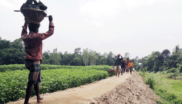 স্বেচ্ছাশ্রমে কবরস্থানে যাওয়ার সড়ক নির্মাণ স্বেচ্ছাশ্রমে কবরস্থানে যাওয়ার সড়ক নির্মাণ