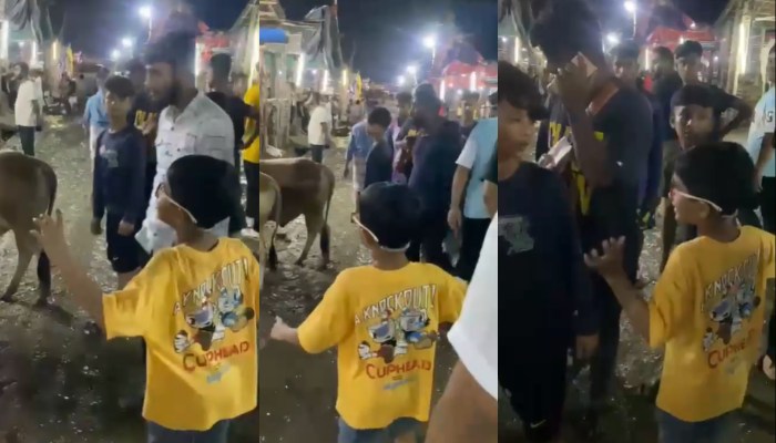 গরুর হাটে তামিমপুত্রের জিজ্ঞাসা, 'ইবে হতো'? গরুর হাটে তামিমপুত্রের জিজ্ঞাসা, 'ইবে হতো'?