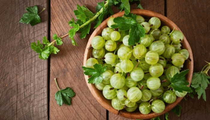 কাদের আমলকী খাওয়া ঠিক নয়