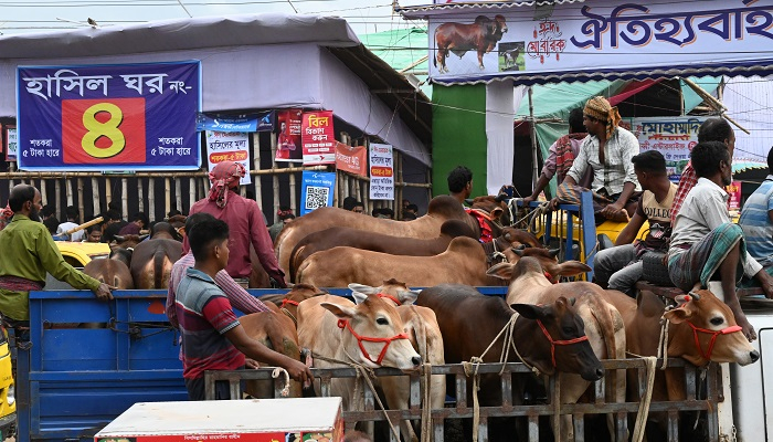 পশুবাহী যান নিয়ে টানাহেঁচড়া ও চাঁদাবাজি: ৯৯৯–এ ২৮২ অভিযোগ
