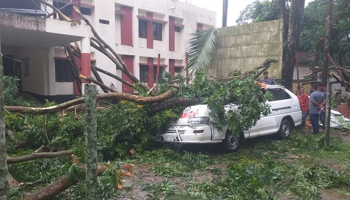 বরিশালে আকস্মিক ঝড়: গাছ পড়ে বৃদ্ধ নিহত, জেলে নিখোঁজ