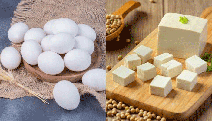 ডিম না পনির কোনটি প্রোটিনের ভালো উৎস?