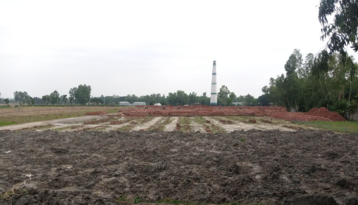 ঘনবসতি এলাকায় অবৈধ ইটভাটা