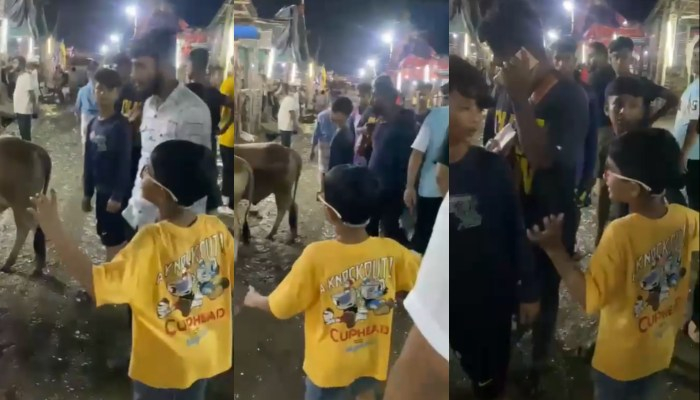 গরুর হাটে তামিমপুত্রের জিজ্ঞাসা, 'ইবে হতো'?