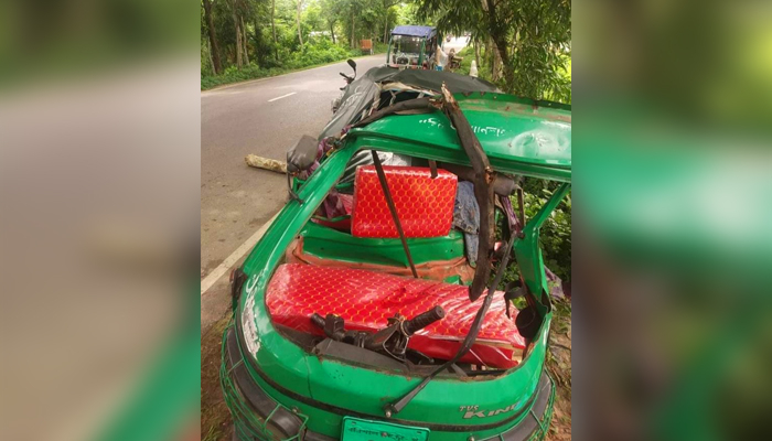 পিকআপ-অটোরিকশা মুখোমুখি সংঘর্ষে প্রাণ গেল মা-মেয়ের
