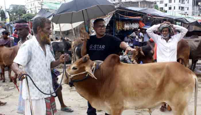 পশুর হাটে জাল নোট যাচাইয়ে থাকবে ব্যাংক বুথ